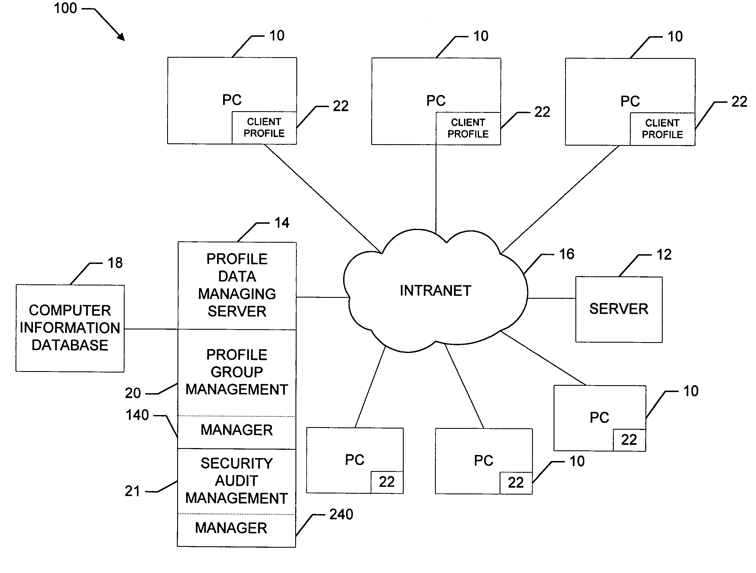Software update and patch audit subsystem for use in a computer information database system