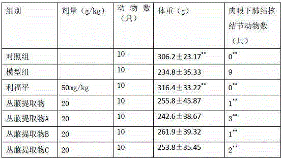 Application of a kind of clump extract in preparation of medicine for treating pulmonary tuberculosis