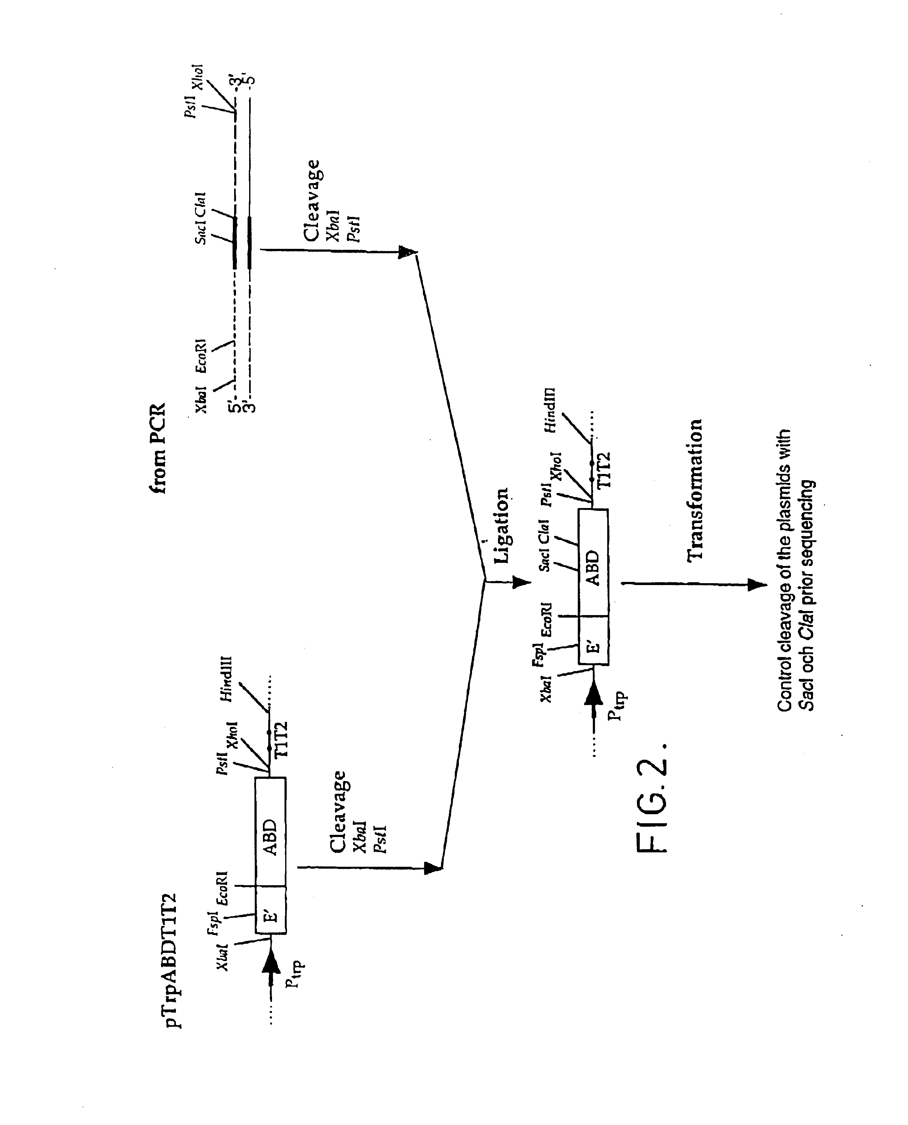 Method of affinity separation and ligands for use therein
