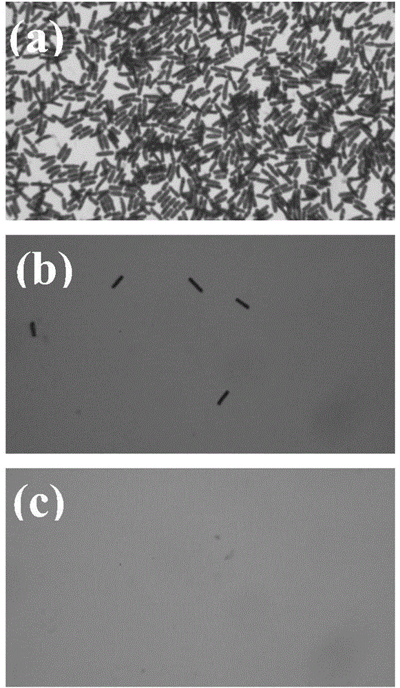 Antibacterial polyelectrolyte composite nanofiber membrane and preparation method thereof