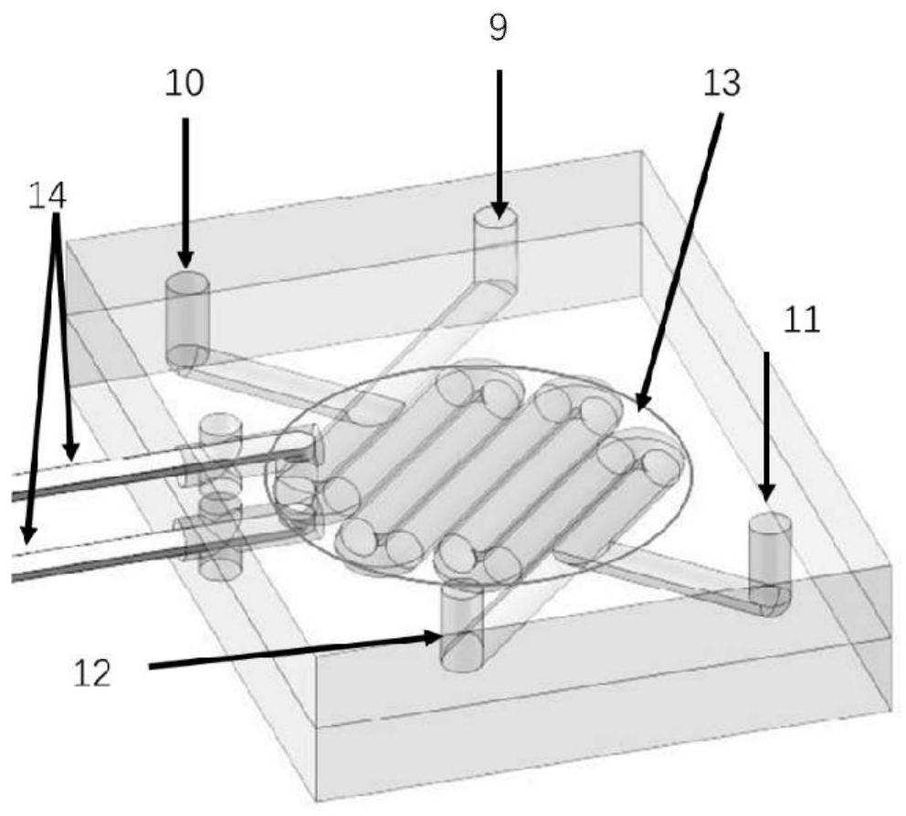 An in vitro simulated digestion box