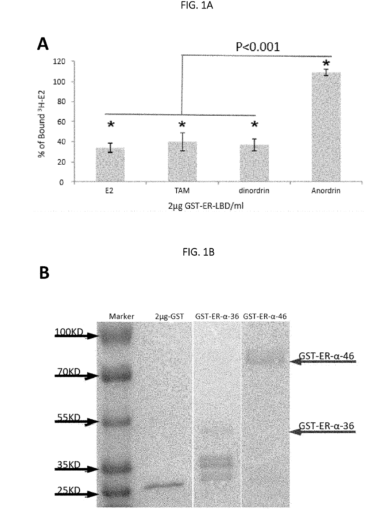 Anordrin compositions and methods for treating diseases