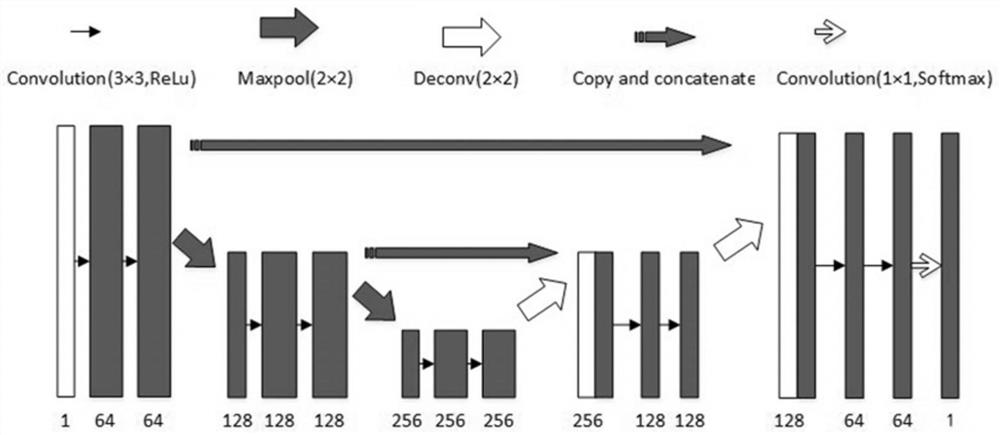 Adhesion chromosome separation method and device based on skeleton segmentation and key point detection