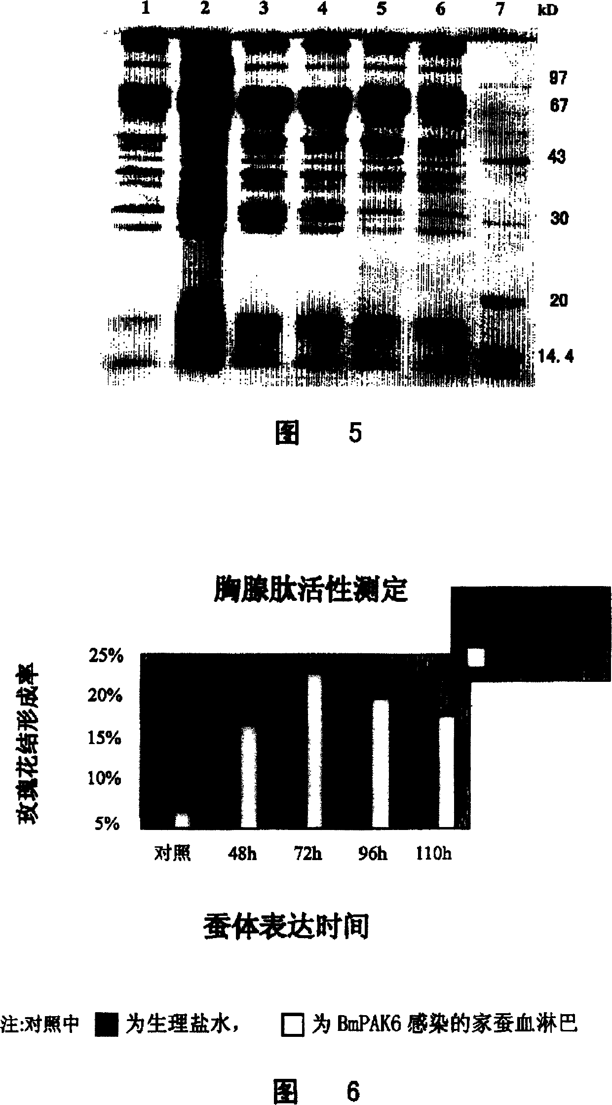 Thymic peptide fusion protein as one new interferon and its prepn. and use