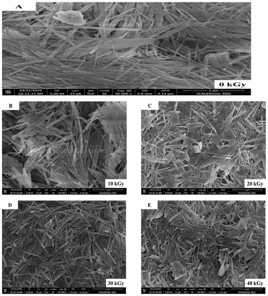 A Nano-titanium Dioxide Composite Reagent for Improving Litchi Flowering Pollination and Fertilization Ability