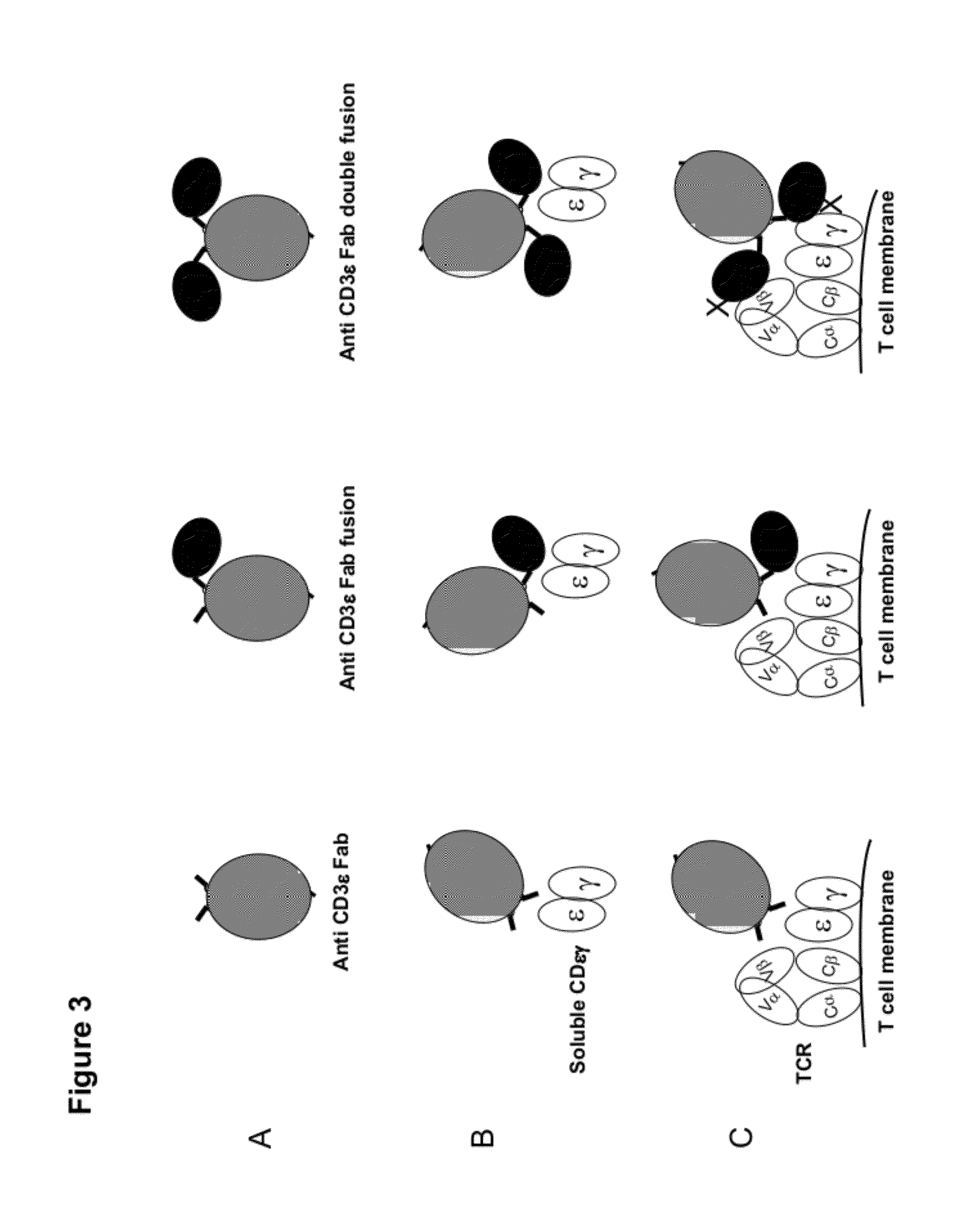 Multi-specific FAB fusion proteins and methods of use