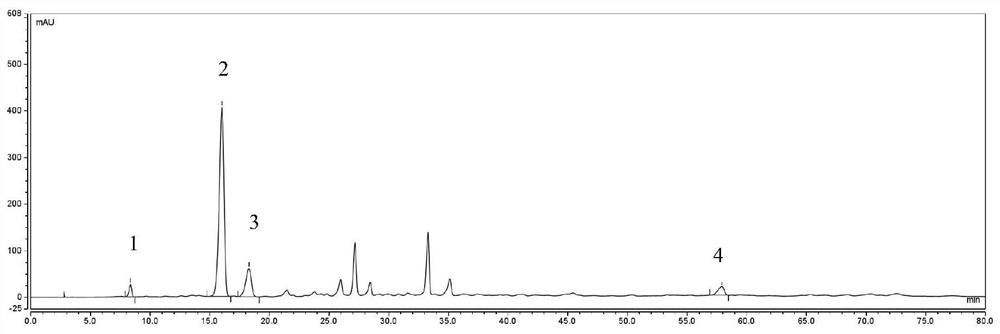 A kind of detection method of the effective part group of Teng vine