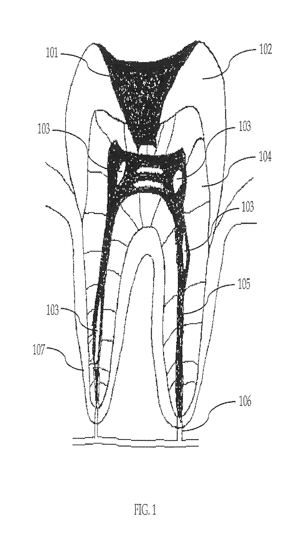 Composition and method for using medicament for endodontic irrigation, stem cell preparation and tissue regeneration