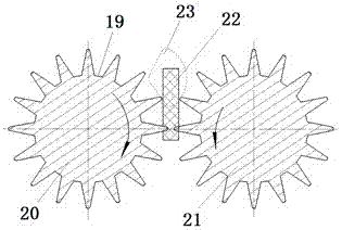 Method and device for cleaning camellia oleifera shell seeds with toothed rollers