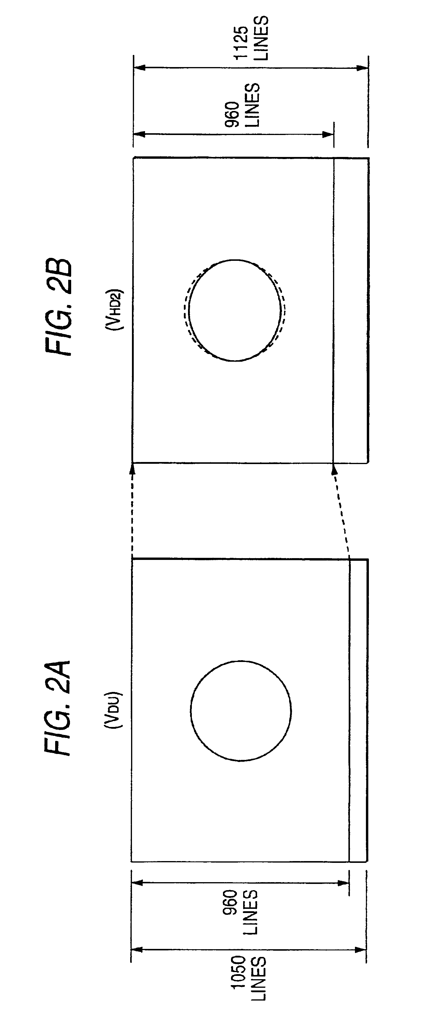 Video signal processing circuit and method for converting number of scan lines and image display device using the same