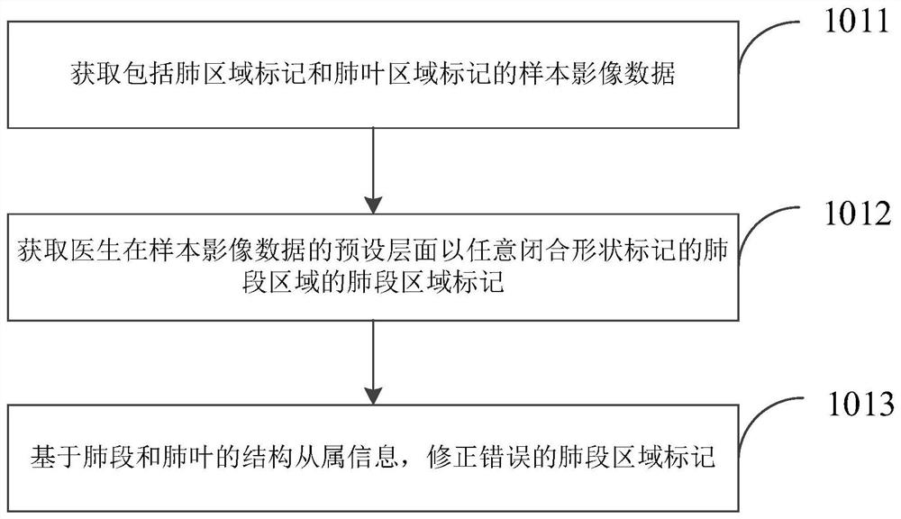 Lung lobe lung segment segmentation model training method and device