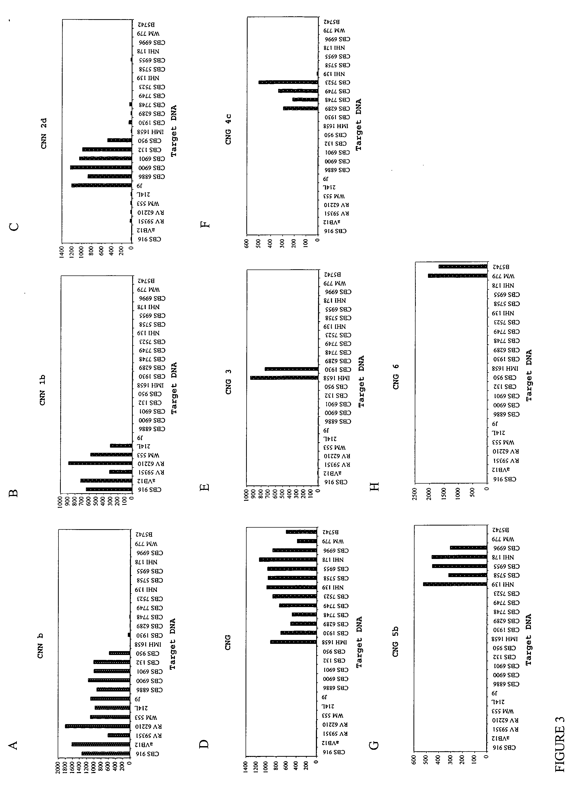 Rapid identification of the varieties and genotypes of cryptococcus neoformans species complex using a high-throughput flow cytometer