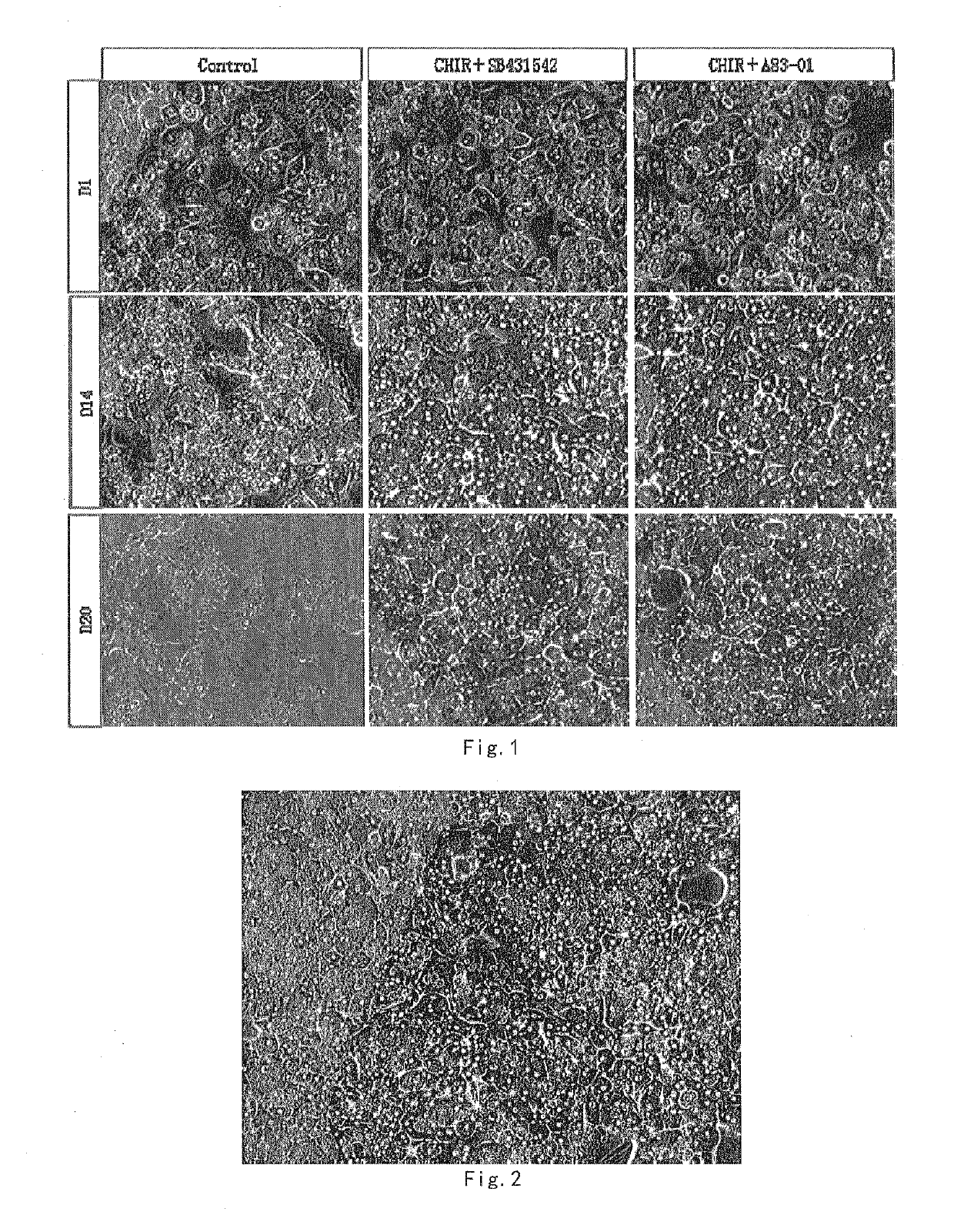 Culture method for long-term maintenance and proliferation subculture of human hepatocytes
