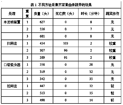 Quick collecting device of adults of Phyllotreta striolata (Fabricius) and using method of quick collecting device