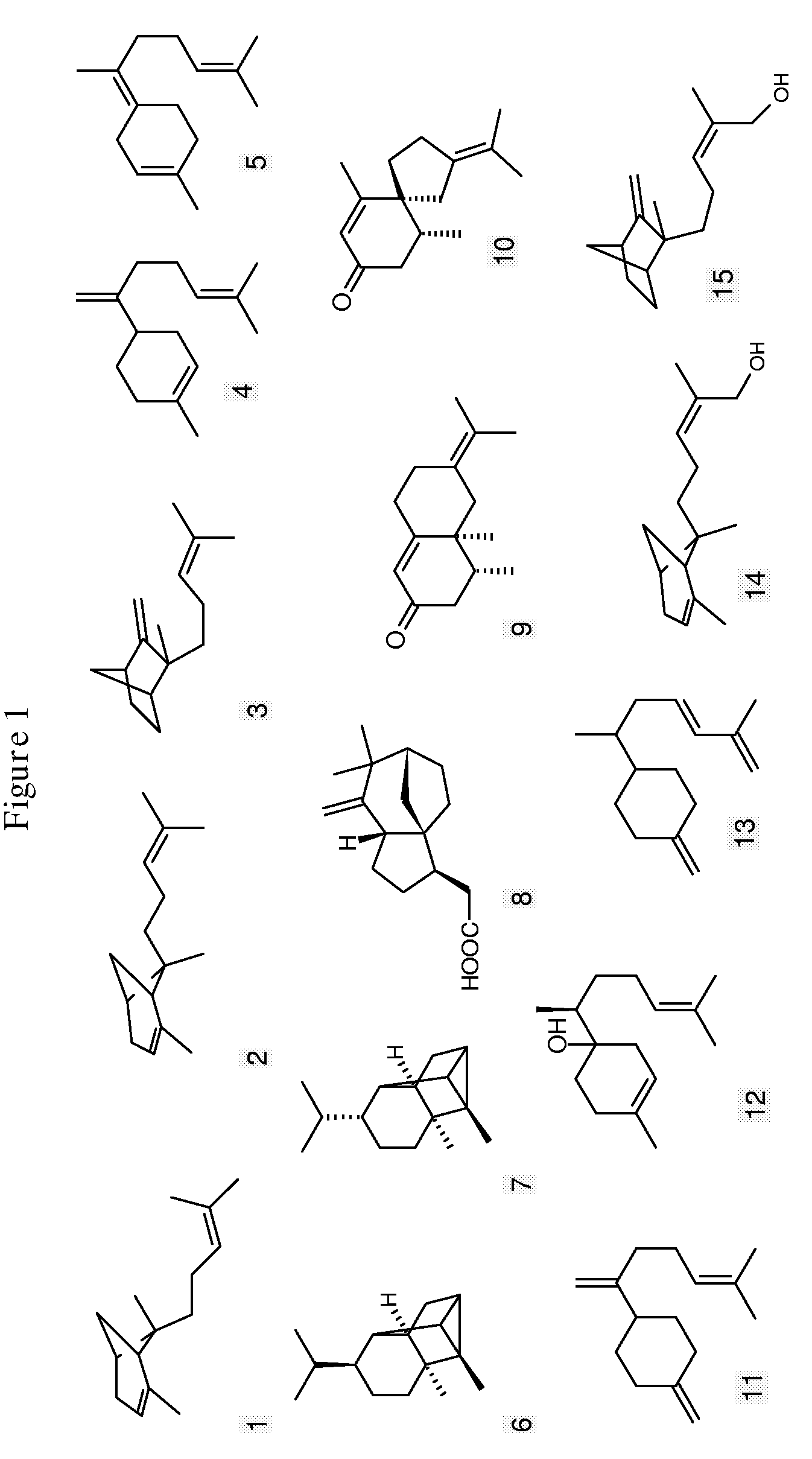 Sesquiterpene synthases and methods of their use