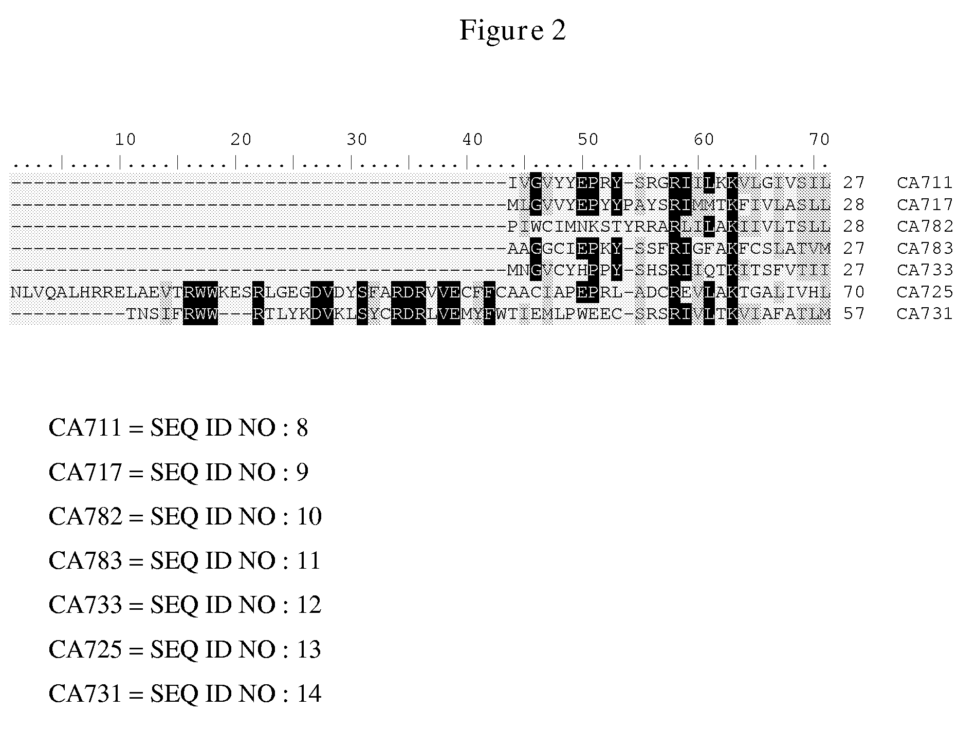Sesquiterpene synthases and methods of their use