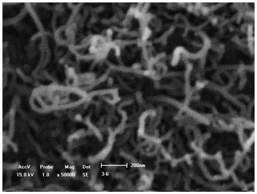 A preparation method of strain sensor based on carbon nanotube three-dimensional network film