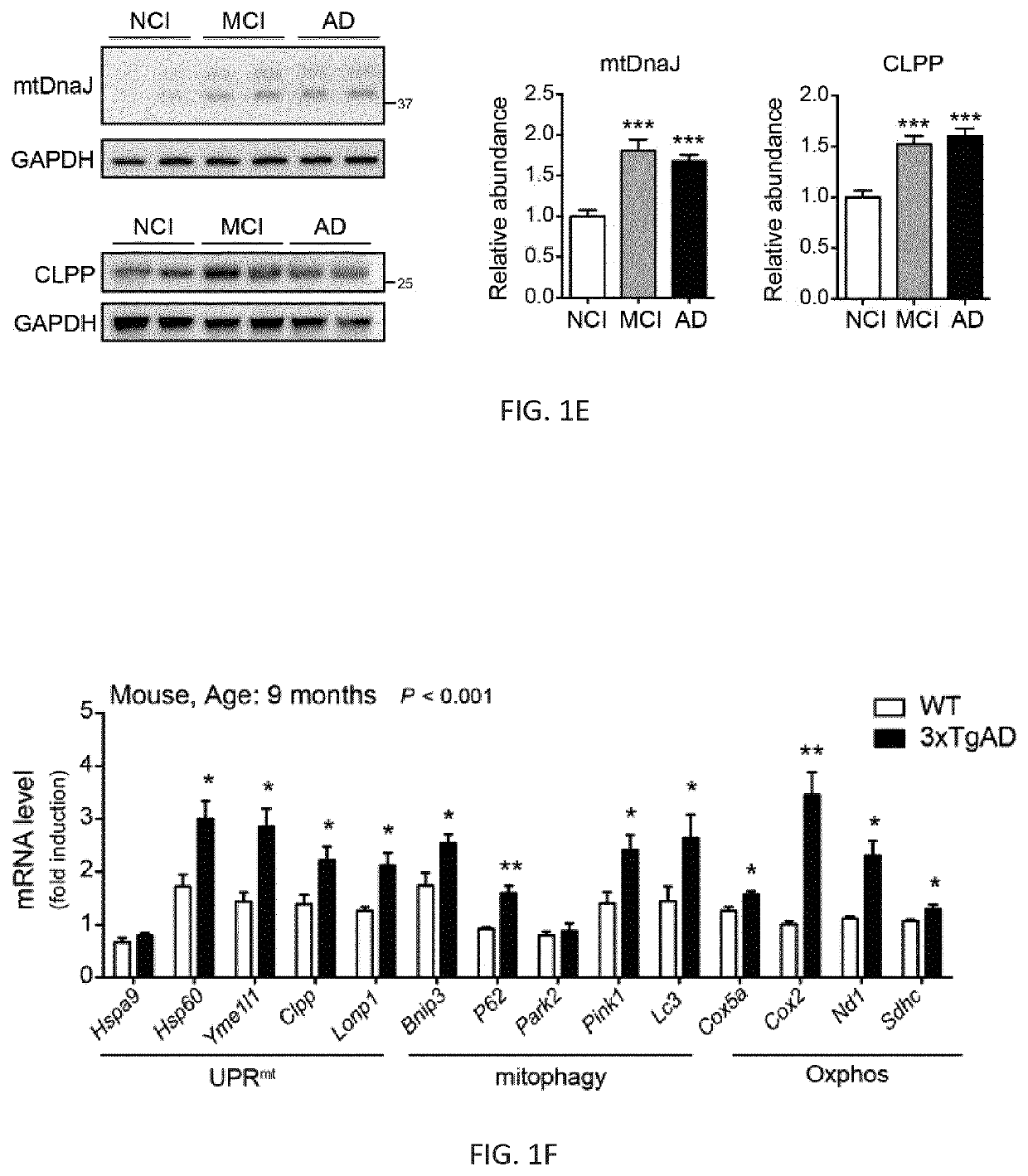 Methods of treating amyloid-beta peptide diseases