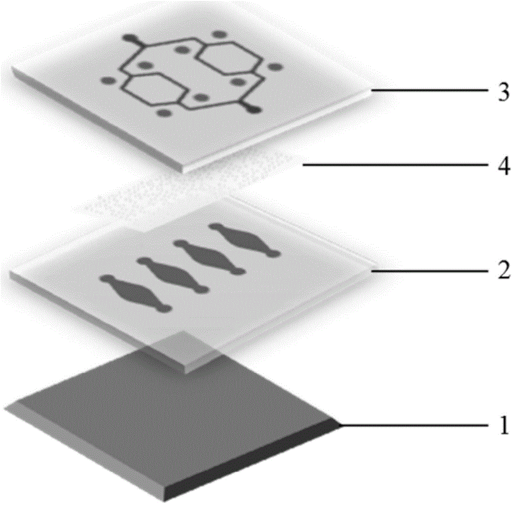 Micro-fluidic chip and cell chemotaxis movement research method