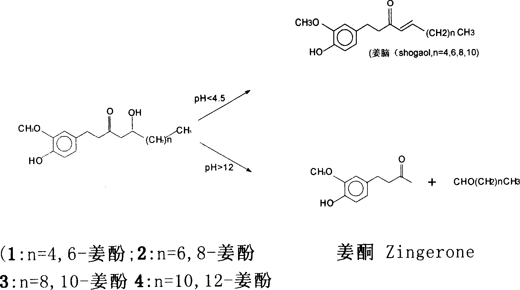 Method for measuring ginger utilizing 6-gingerol oxime and 6-gingerol in products thereof