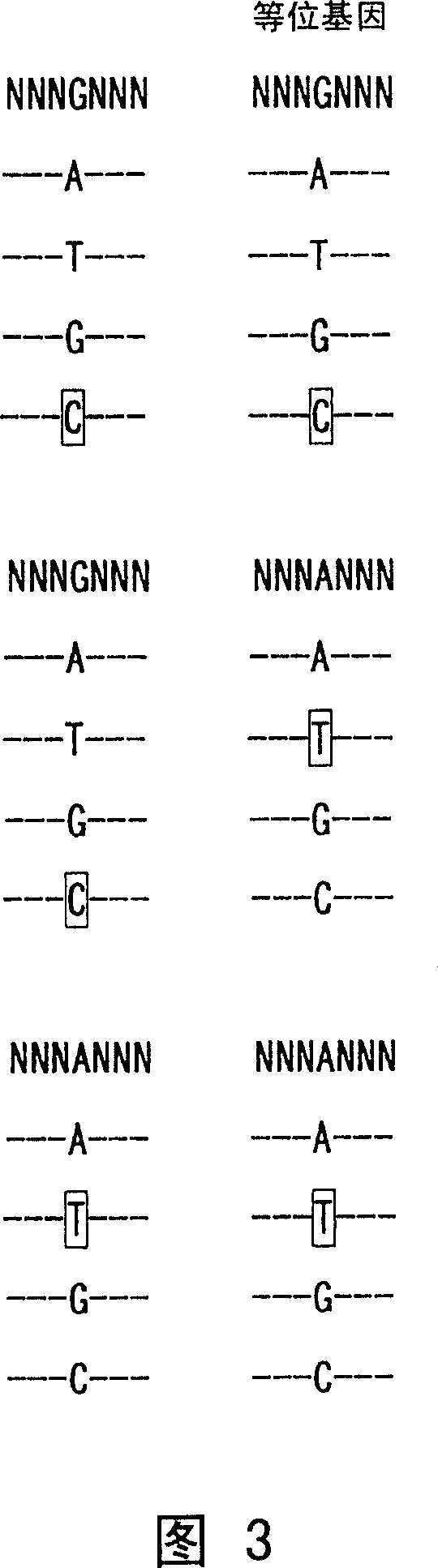 Nucleotide derivatives and DNA microarray