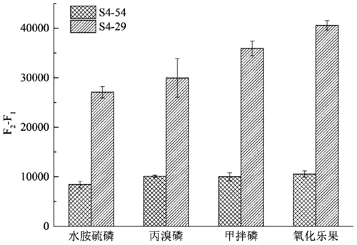 Broad-spectrum organophosphorus pesticide aptamer as well as method and application thereof