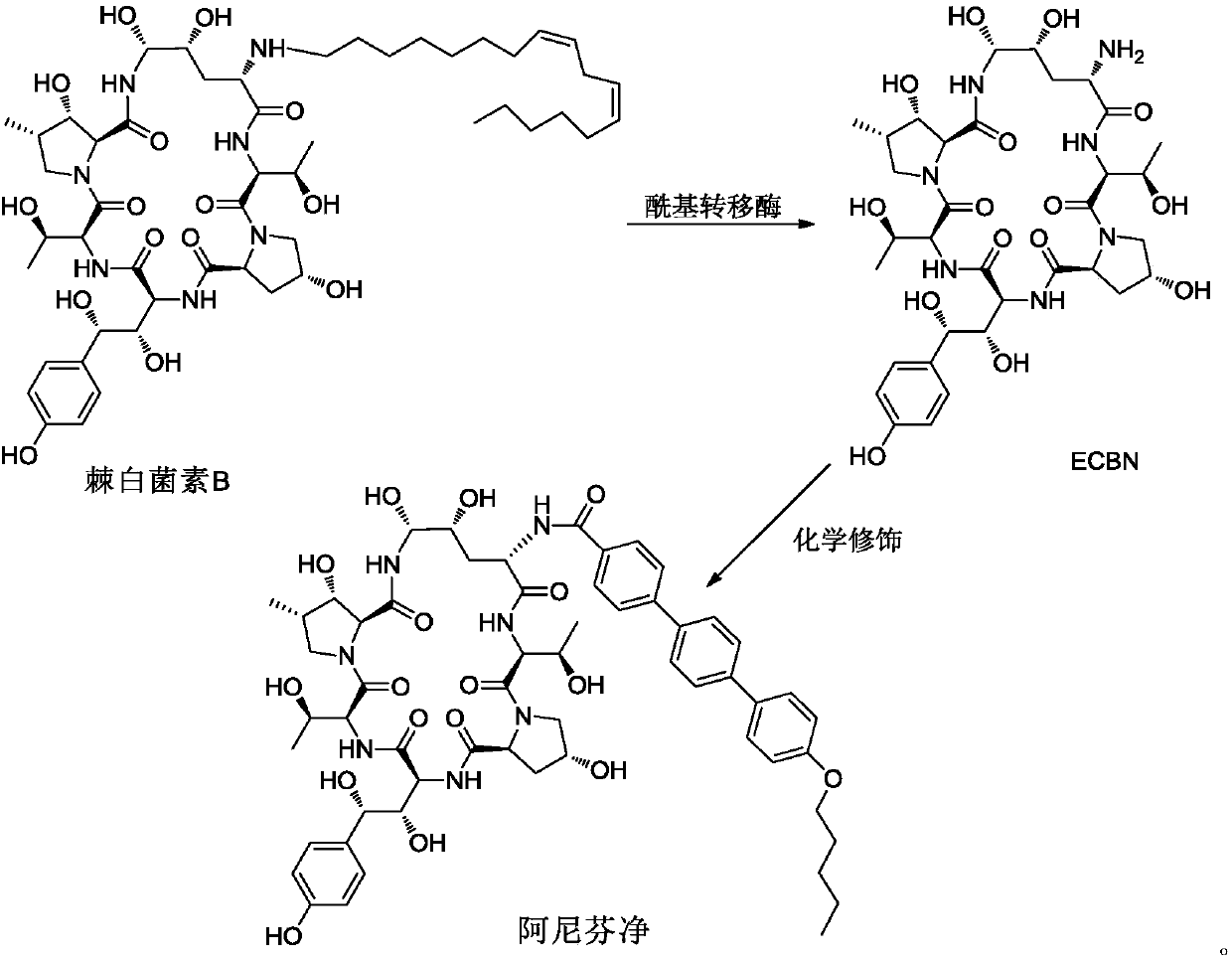Purifying method for high-purity echinocandin B mother nucleus or salt thereof