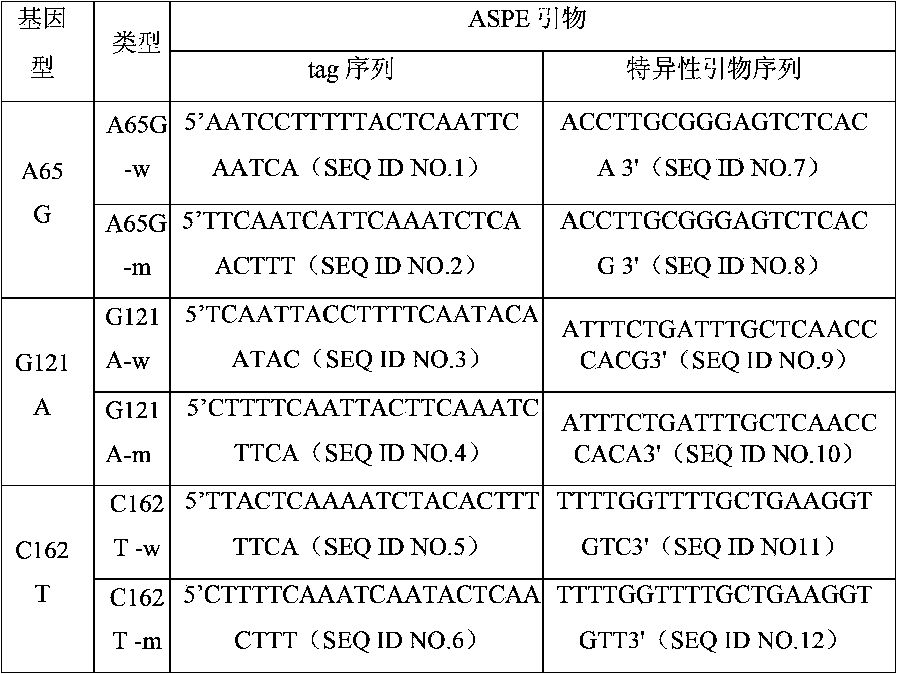 Specific detection primers and detection liquid phase chip for chromosome Xp11.22 segment polymorphism