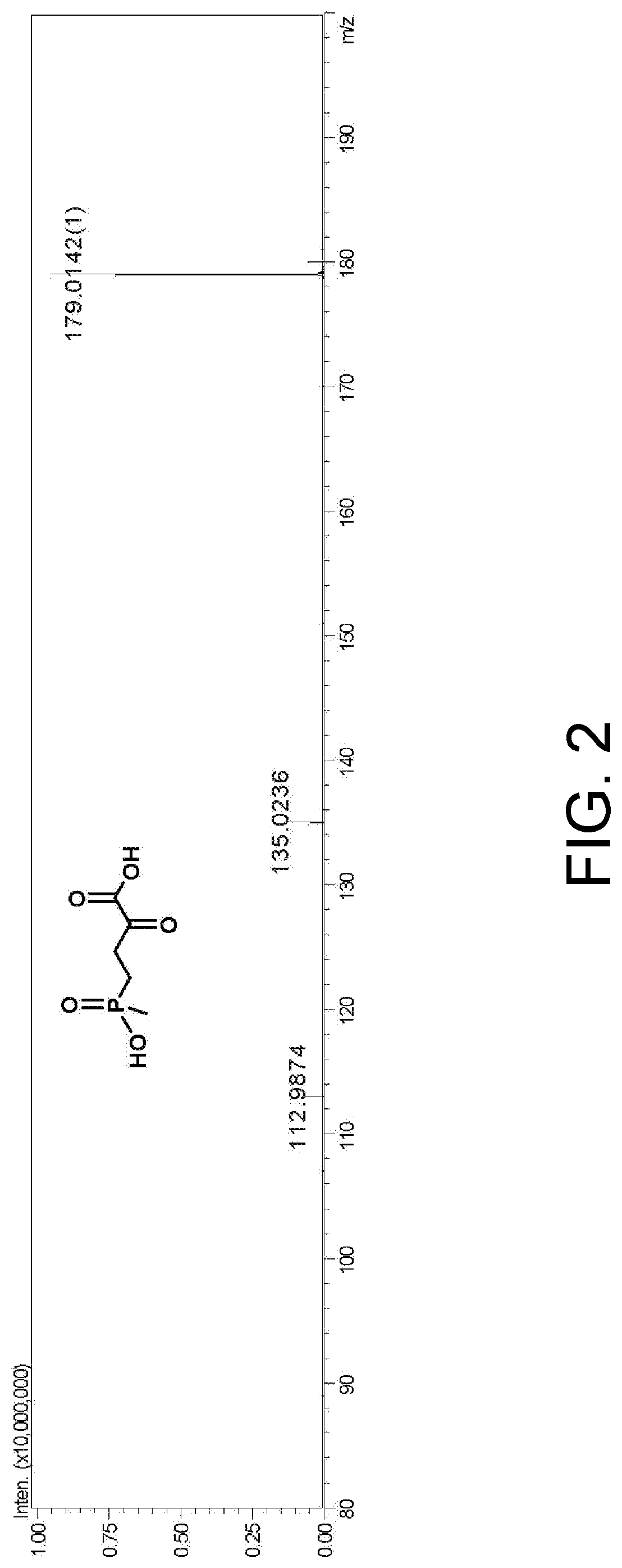 Glutamate dehydrogenase mutant and application thereof