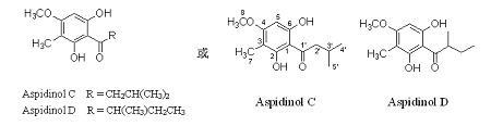 Aspidinol compound and application thereof in preparing medicines for resisting drug-resistant bacteria