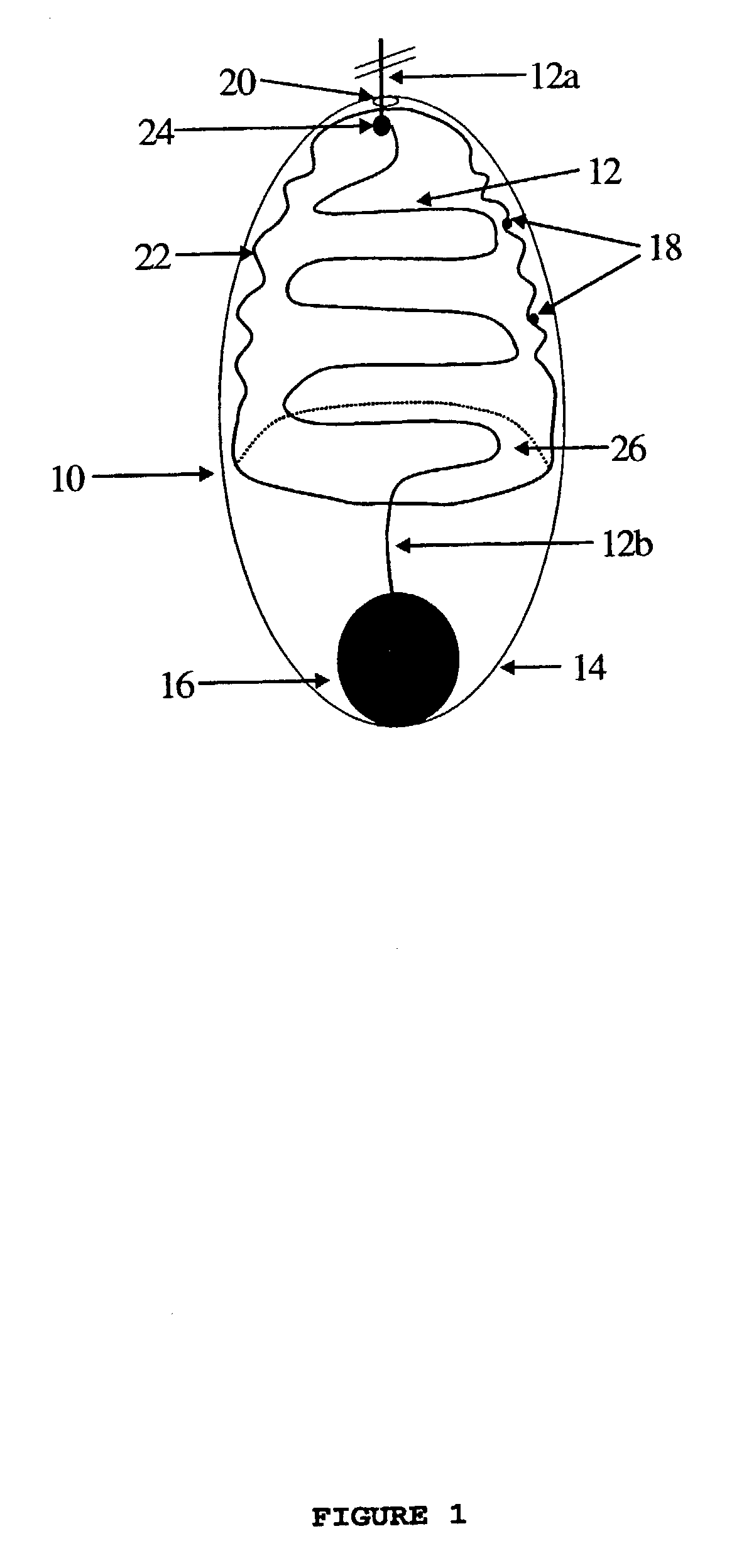 Methods and devices for obtaining samples from hollow viscera