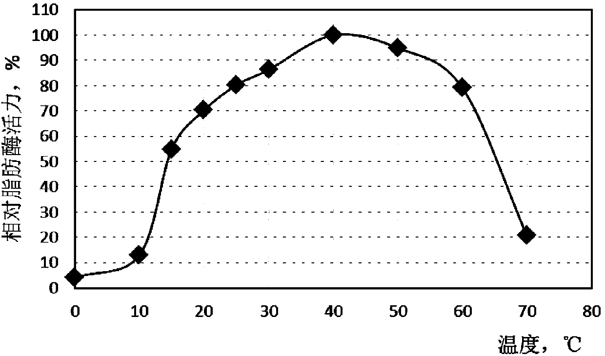 Lipase derived from cladosporium, and coding gene sequence and application thereof