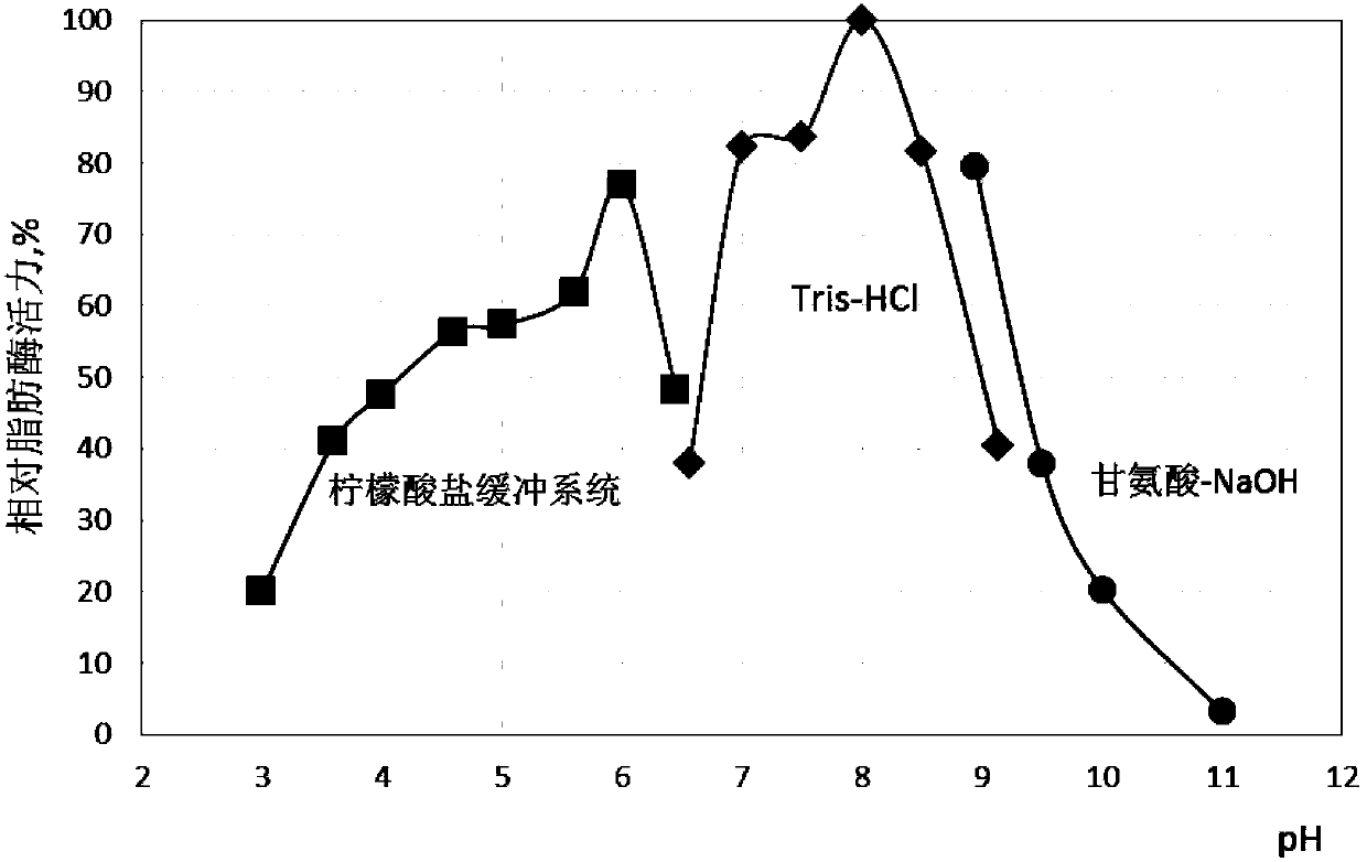 Lipase derived from cladosporium, and coding gene sequence and application thereof