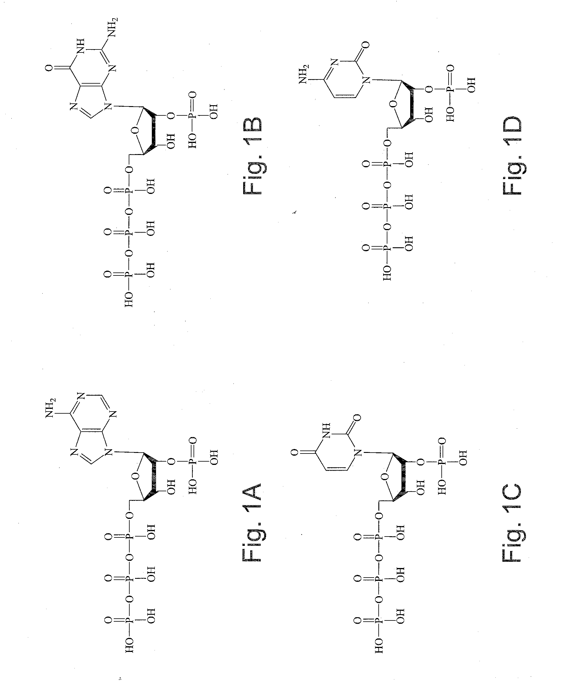 2'-Terminator Nucleotide-Related Methods and Systems
