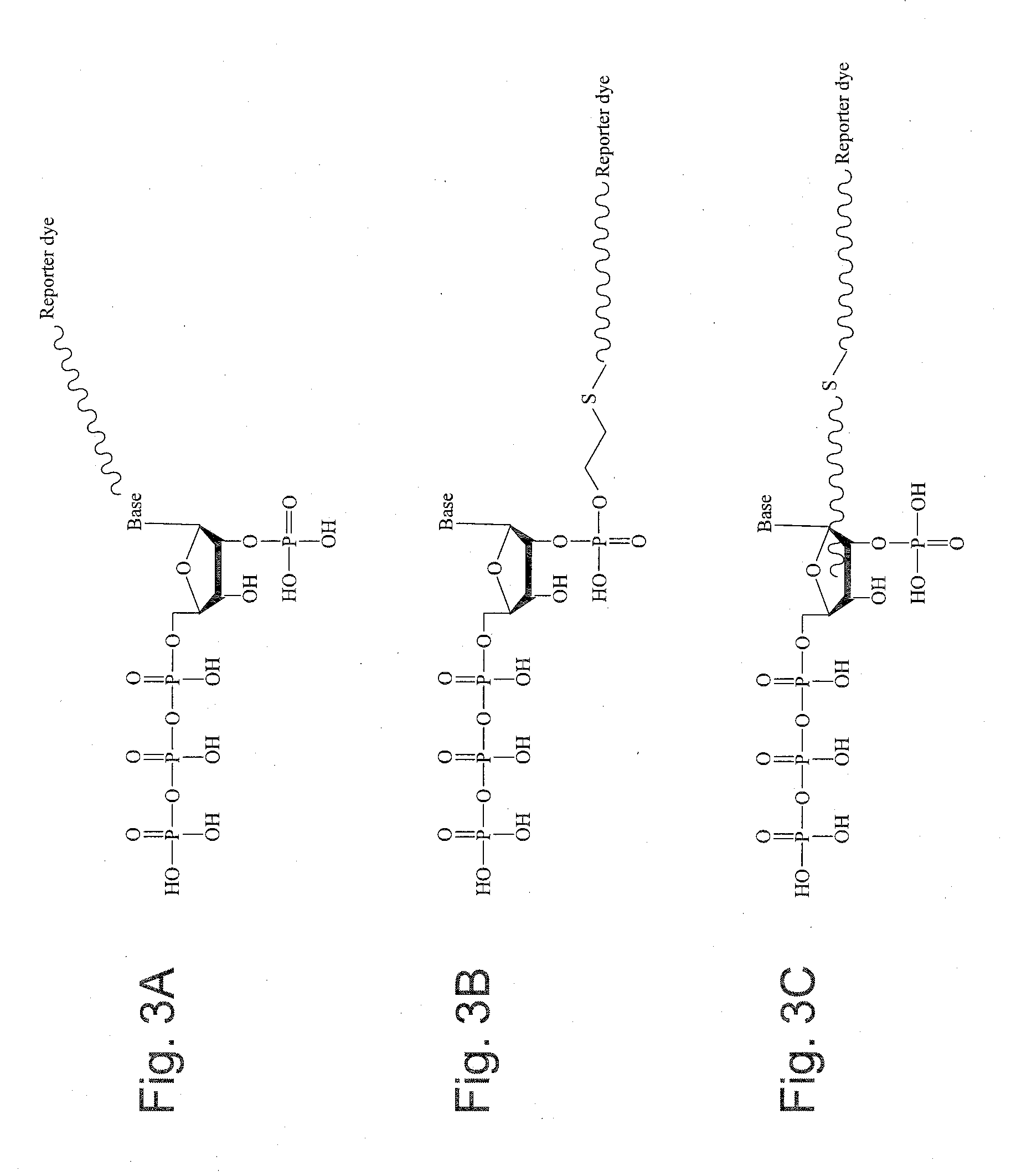 2'-Terminator Nucleotide-Related Methods and Systems