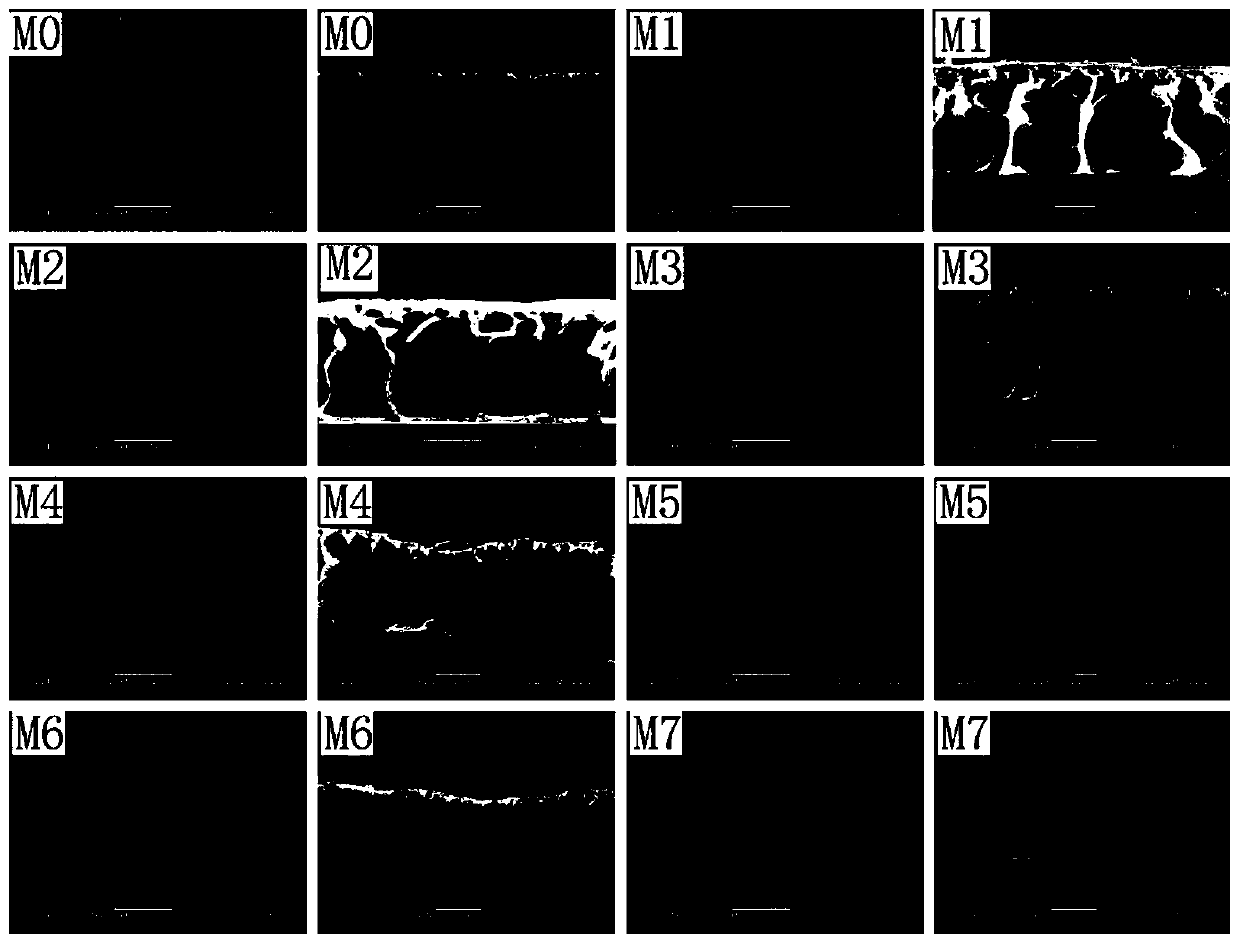 A kind of preparation method of ion imprinted blend film