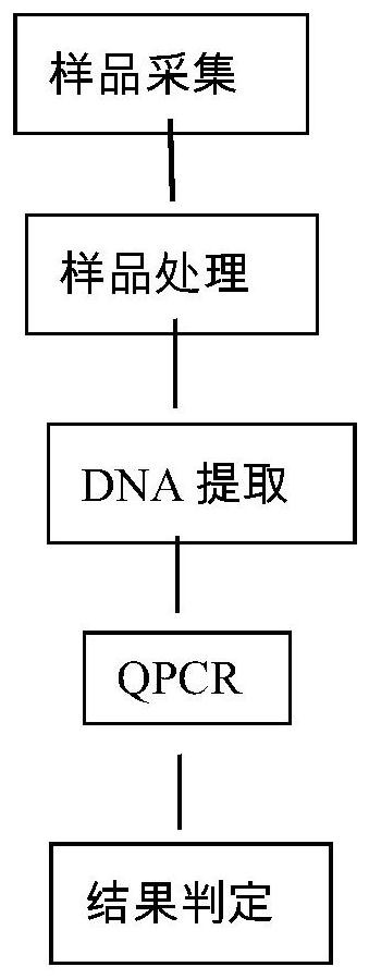 A Taqman real-time fluorescent PCR kit for diagnosing pig umbilical cord blood pseudorabies virus field strain and its application