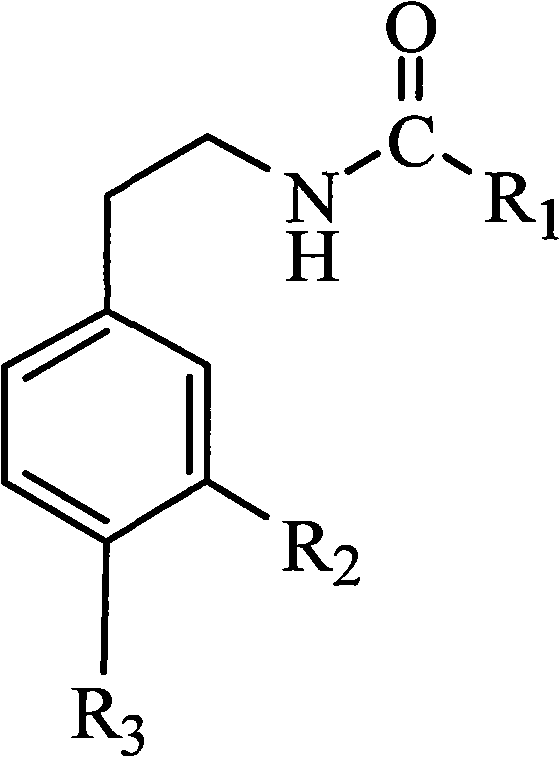 Method for synthesizing capsaicin homolog