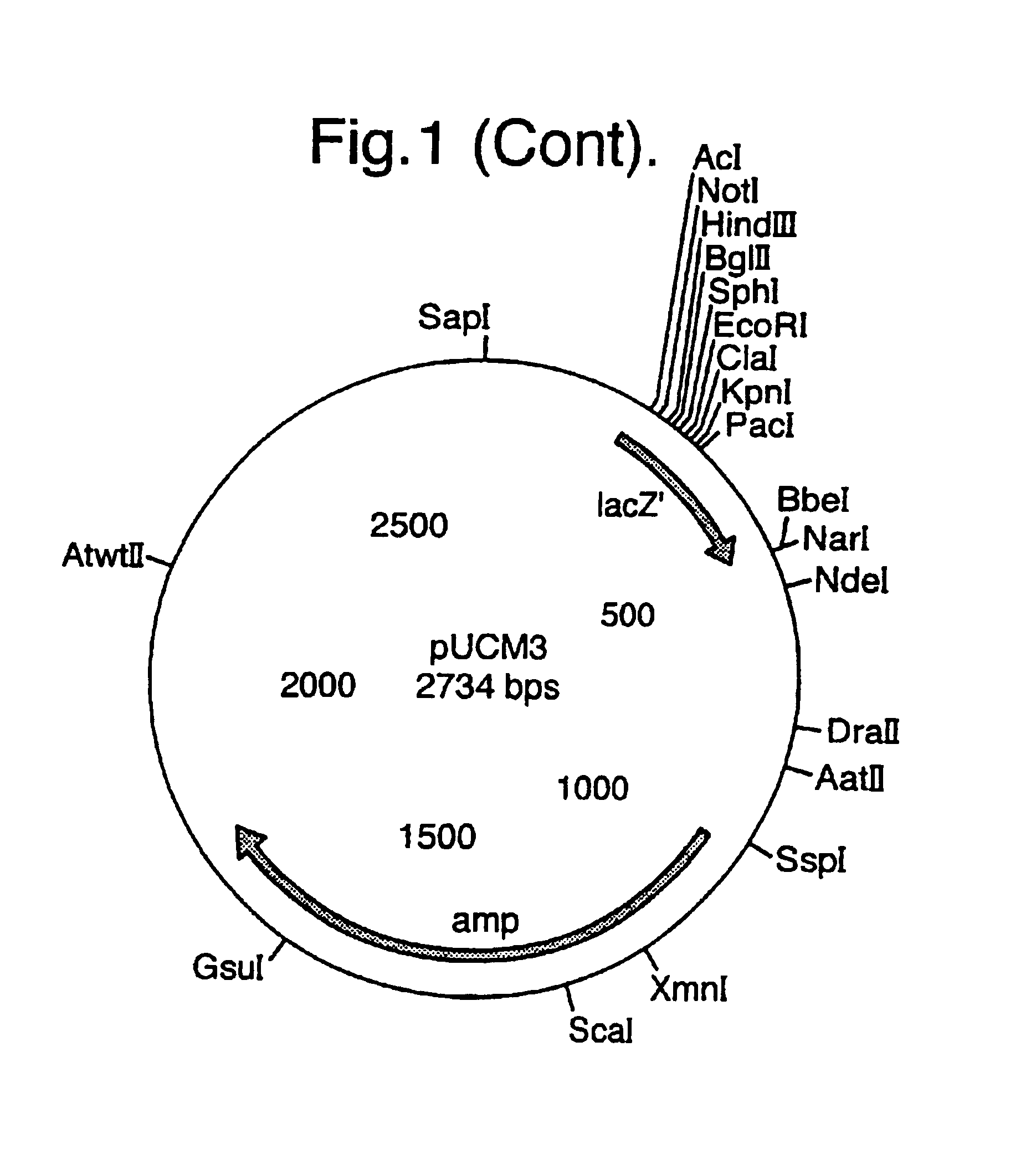 Methods and composition for modulating flavonols content