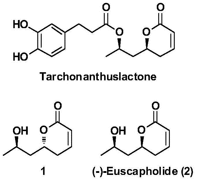 A new method for the asymmetric synthesis of isomers of the natural product (‑)‑euscapholide