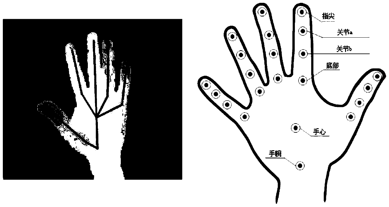 A Skeleton Gesture Recognition Method Based on Bidirectional Independent Recurrent Neural Network