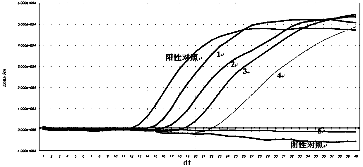 Nucleic acid constant-temperature amplification method of Methicillin-resistant Staphylococcus aureus (MRSA)