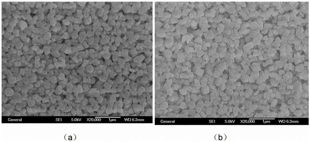 Hydrophobic modification treatment method of a kind of zeolite molecular sieve