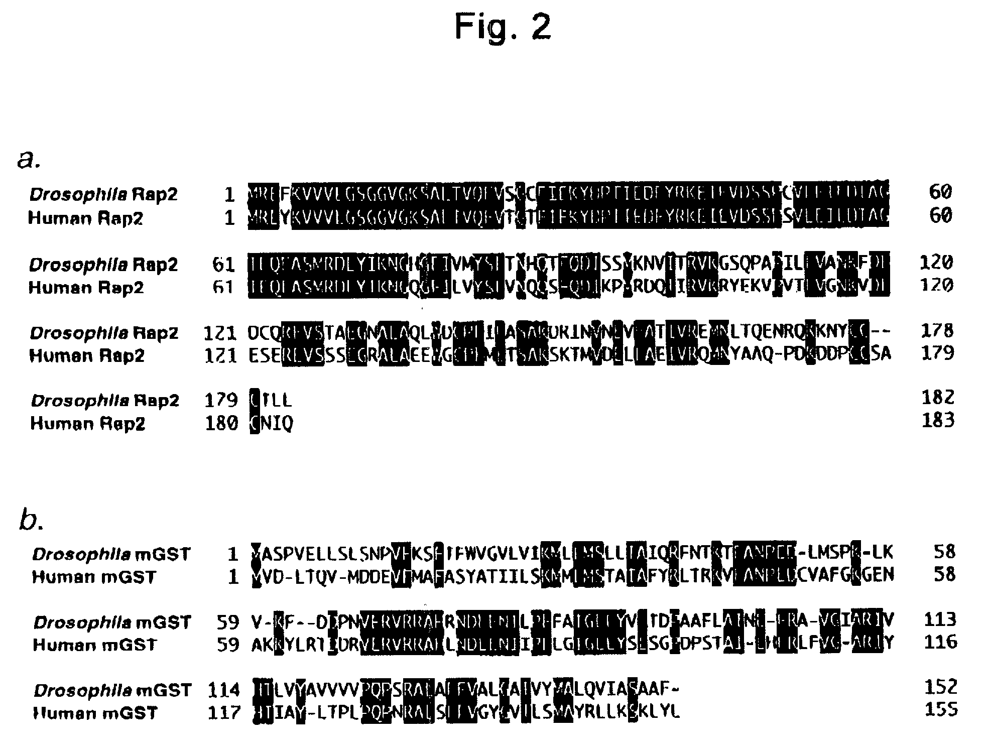 Gene Search Vector and Gene Search Method