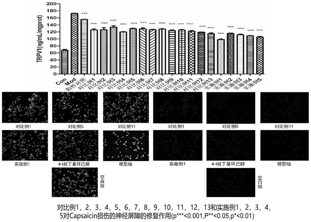 Polysaccharide composition for inhibiting TRPV1 pathway as well as preparation method and application of polysaccharide composition