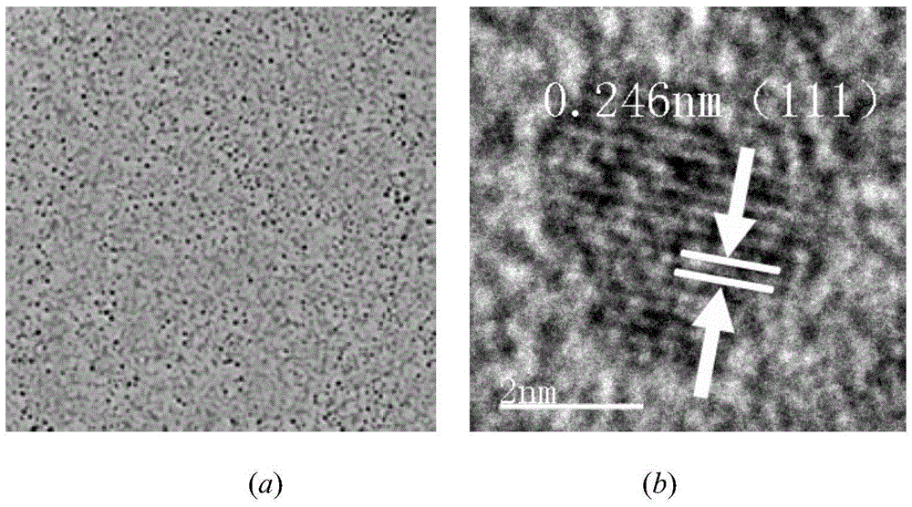 Electrochemical preparation method of black phosphorus quantum dots