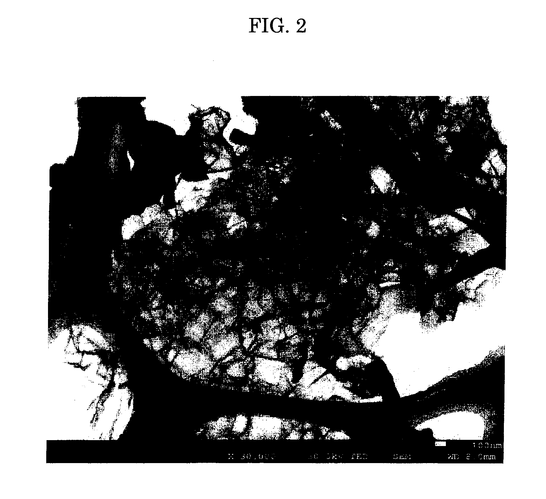 Porous carbon and method of manufacturing same