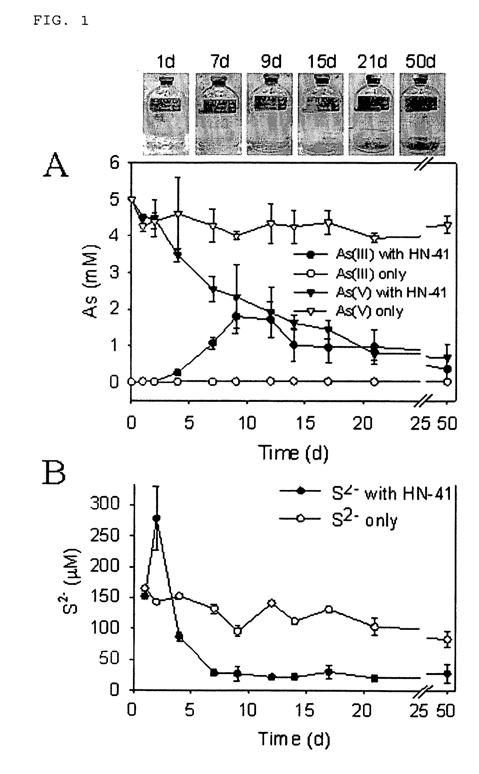 Biological production method of photoconductive arsenic-sulfide (As-S) nanotube and strain used for the same