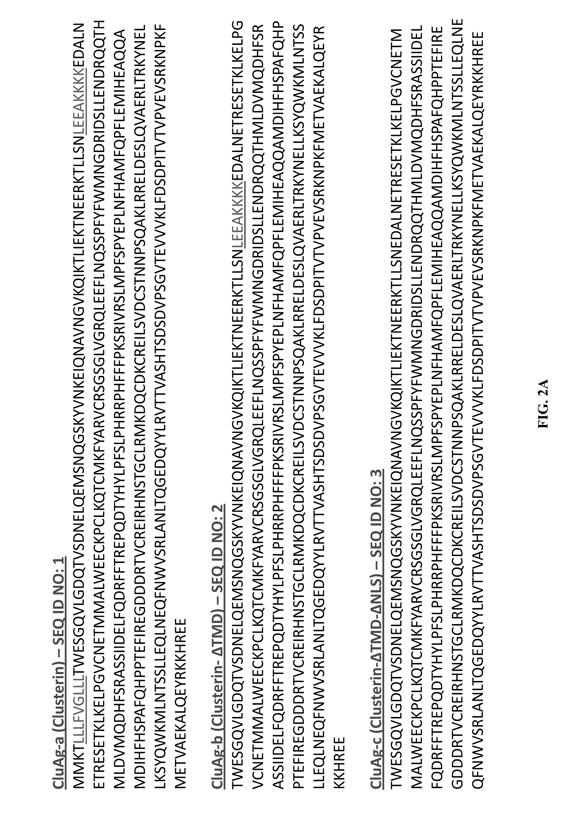 Recombinant clusterin and use thereof in the treatment and prevention of disease