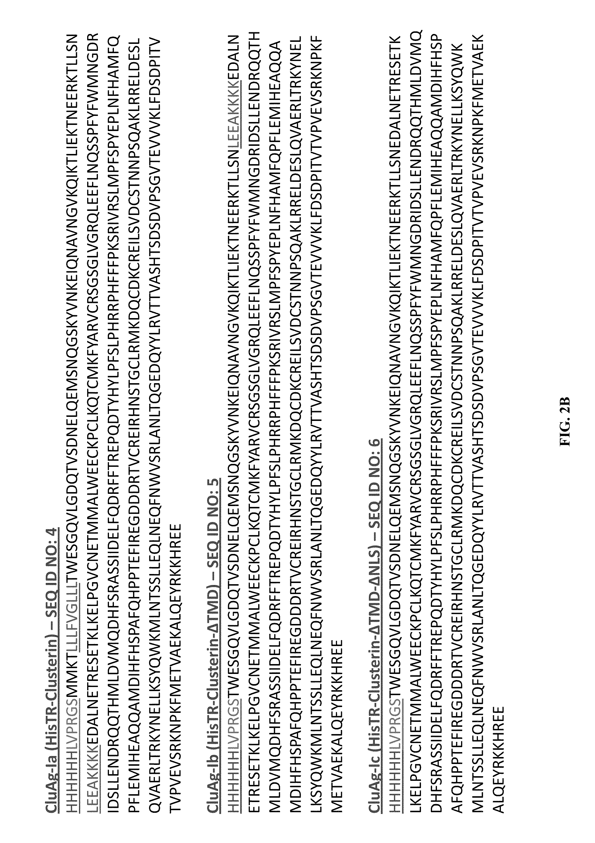 Recombinant clusterin and use thereof in the treatment and prevention of disease